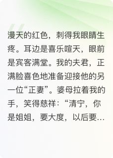 重生回夫君兼祧两房时，我杀疯了