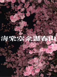 海棠空余尽春山