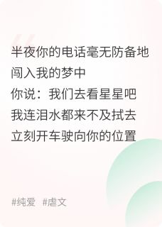 星星坠落之时