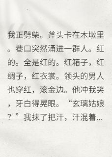 王爷非要入赘我破落户