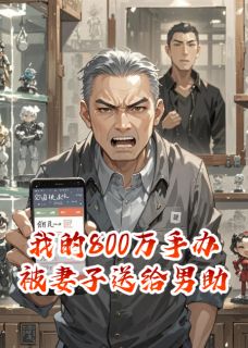 我的880万手办被妻子送给男助理