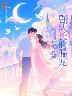 刑警队长说追我是公事公办