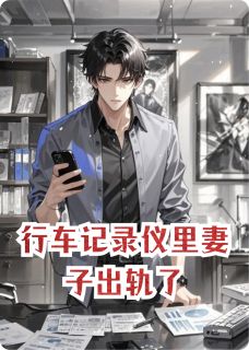行车记录仪里妻子出轨了