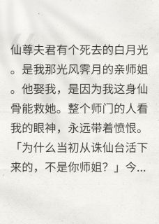 以我仙骨，祭你月光