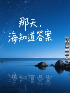 那天，海知道答案