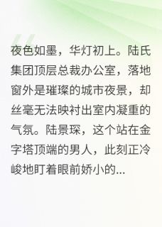 涅槃归来：陆总的漫漫追妻路