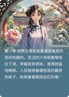 朱墙雪之梦