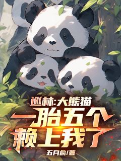 巡林：大熊猫一胎五个，赖上我了