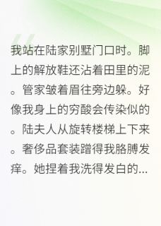 被豪门认亲后，我撕了DNA报告