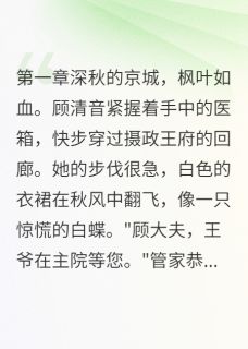 摄政王的替身医妃