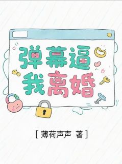 弹幕逼我离婚