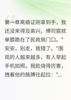 我离婚，他疯了