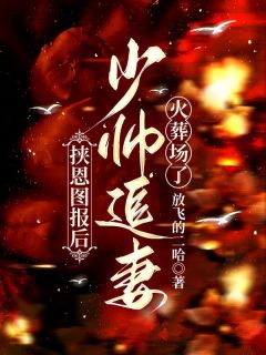 挟恩图报后，少帅追妻火葬场了