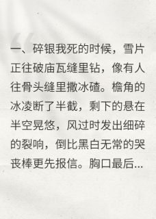 雪落时，魂归处