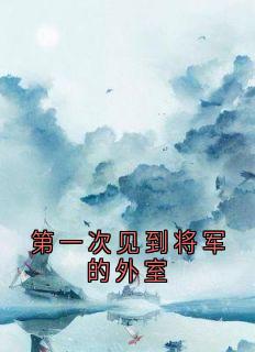 第一次见到将军的外室