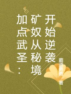 加点武圣：矿奴从秘境开始逆袭