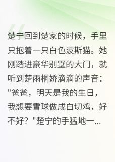 流浪街头的千金小姐