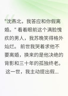 军嫂重生后主动提出假离婚