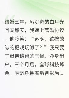 离婚？总裁他跪求我复婚！！