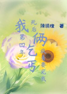 我死后第四年，俩乞丐疯着要见我
