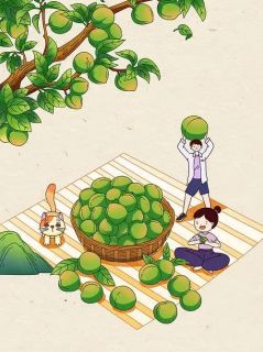 微雨慕枫