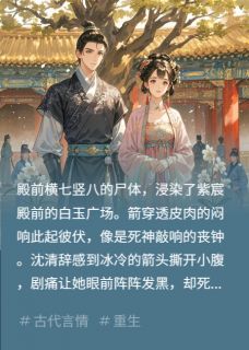 重生夫妇谋反实录
