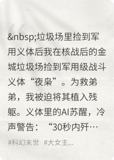 垃圾场里捡到军用义体