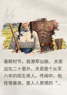 将军解甲等妻归