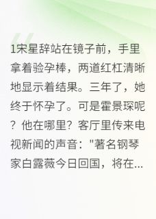 影帝的闪婚小娇妻