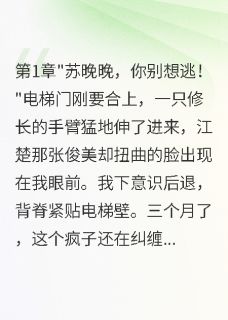 前任纠缠八百天，豪门老公宠上天