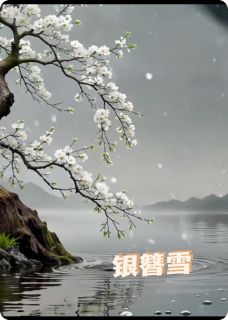 素簪命雪