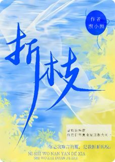 折夏枝