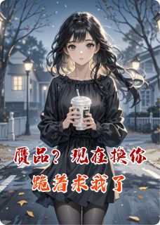 赝品？现在换你跪着求我了