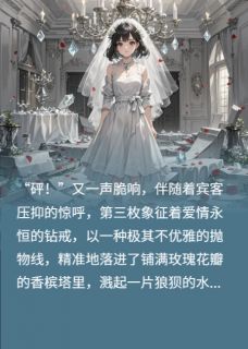 退婚三次后总裁成了我的售后专员