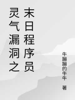 灵气漏洞之末日程序员