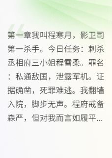 影卫司第一杀手退休开客栈