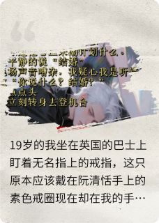 继姐死后，我嫁给了准姐夫