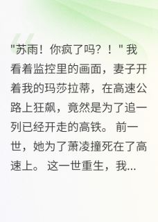 妻子开车追高铁五百里我躺赢了