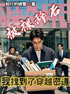 被裸辞后我找到了穿越密道