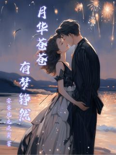 月华苍苍有梦铮然