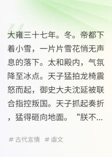 孤鸢待雍时