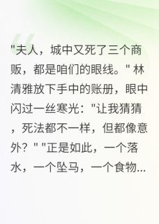 边境夫人：智斗北胡间谍