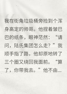 捡个霸总是路痴