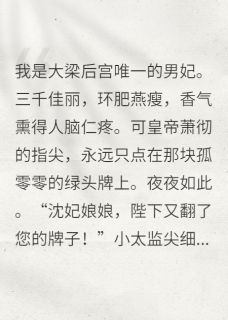 后宫唯一的男妃，皇上天天翻我牌