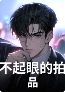 不起眼的拍品
