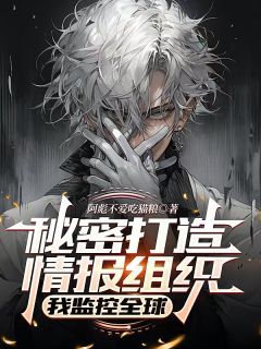秘密打造情报组织，我监控全球