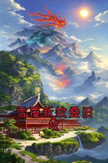 雪覆新坟叠旧坟