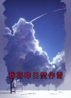 我将昨日焚作雪