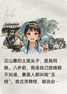 匪玉京华