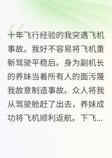 我离开驾驶舱后，养妹悔疯了